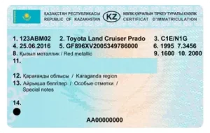 tehpasport